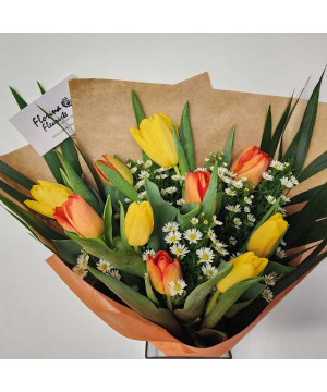 tulipes1 / tulips1