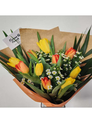 tulipes1 / tulips1