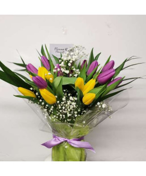 tulips2