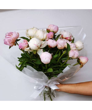 Peony2