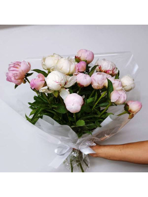 Peony2